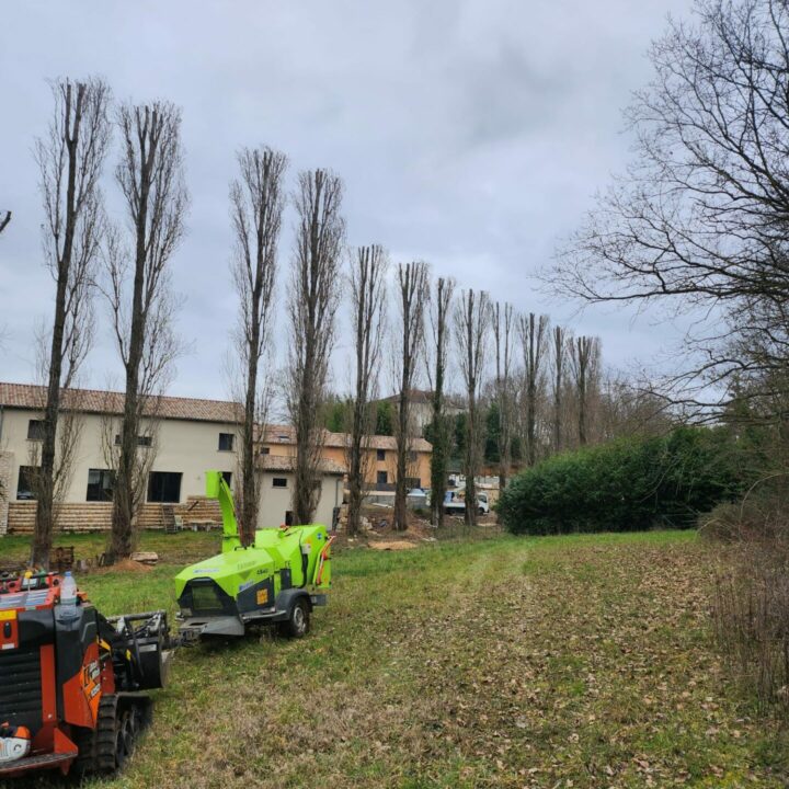 Ecimage de Peuplier d Italie sur la commune de Reyrieux 01600 1